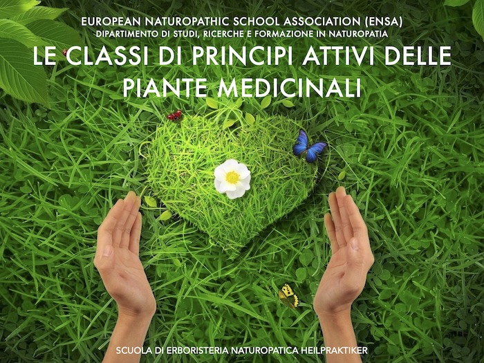 Le classi di principi attivi delle piante medicinali
