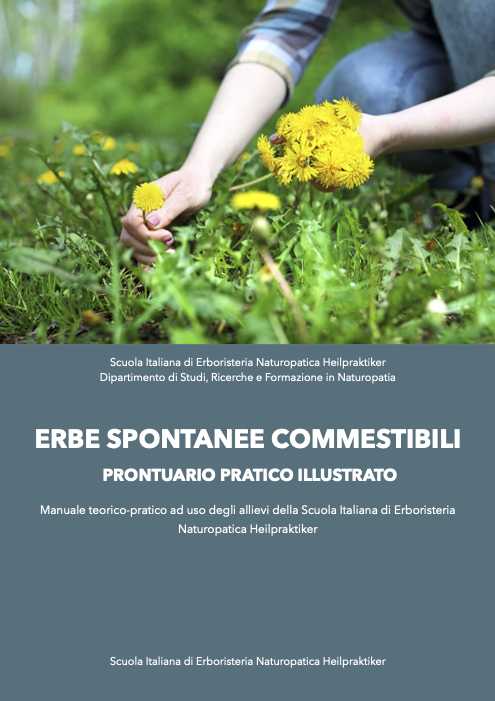 erbe spontanee commestibili