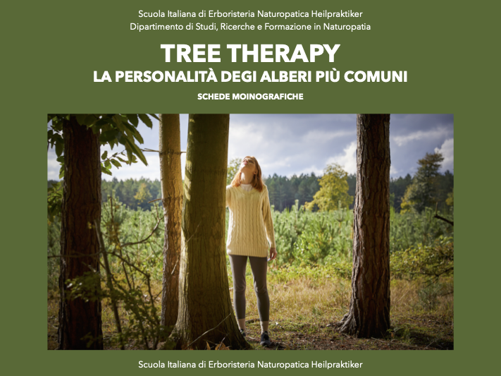 Tree therapy