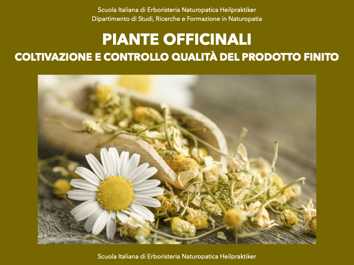 piante officinali