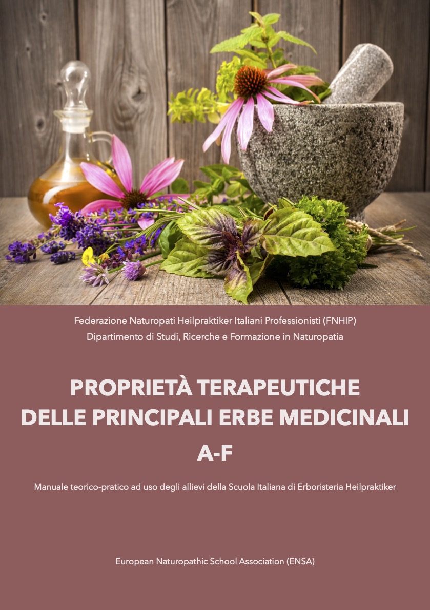 proprietà terapeutiche erbe medicinali