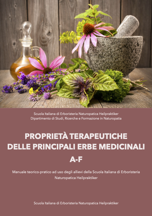 proprietà terapeutiche erbe medicinali