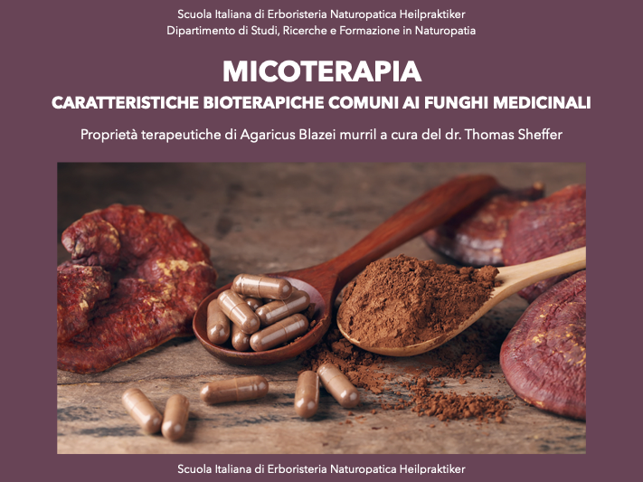 Micoterapia oncologica