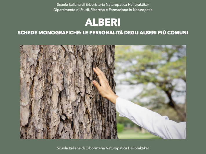 schede alberi
