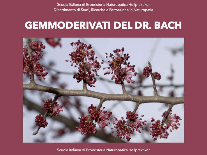 gemmoderivati di bach
