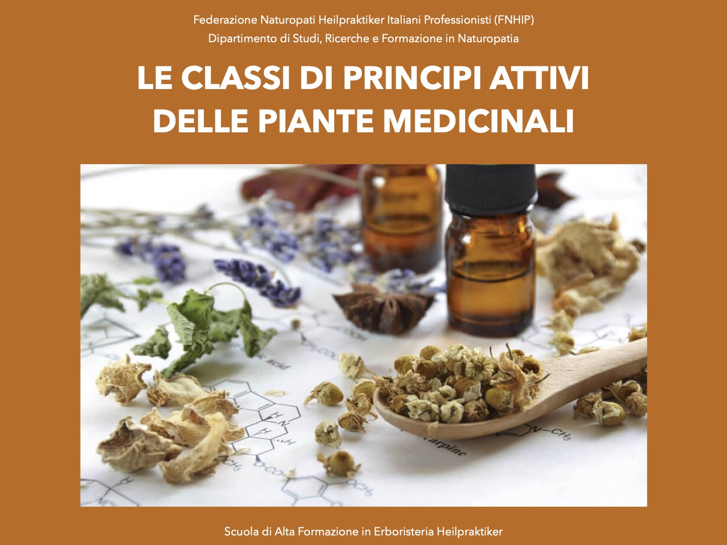 Le classi di principi attivi delle piante medicinali