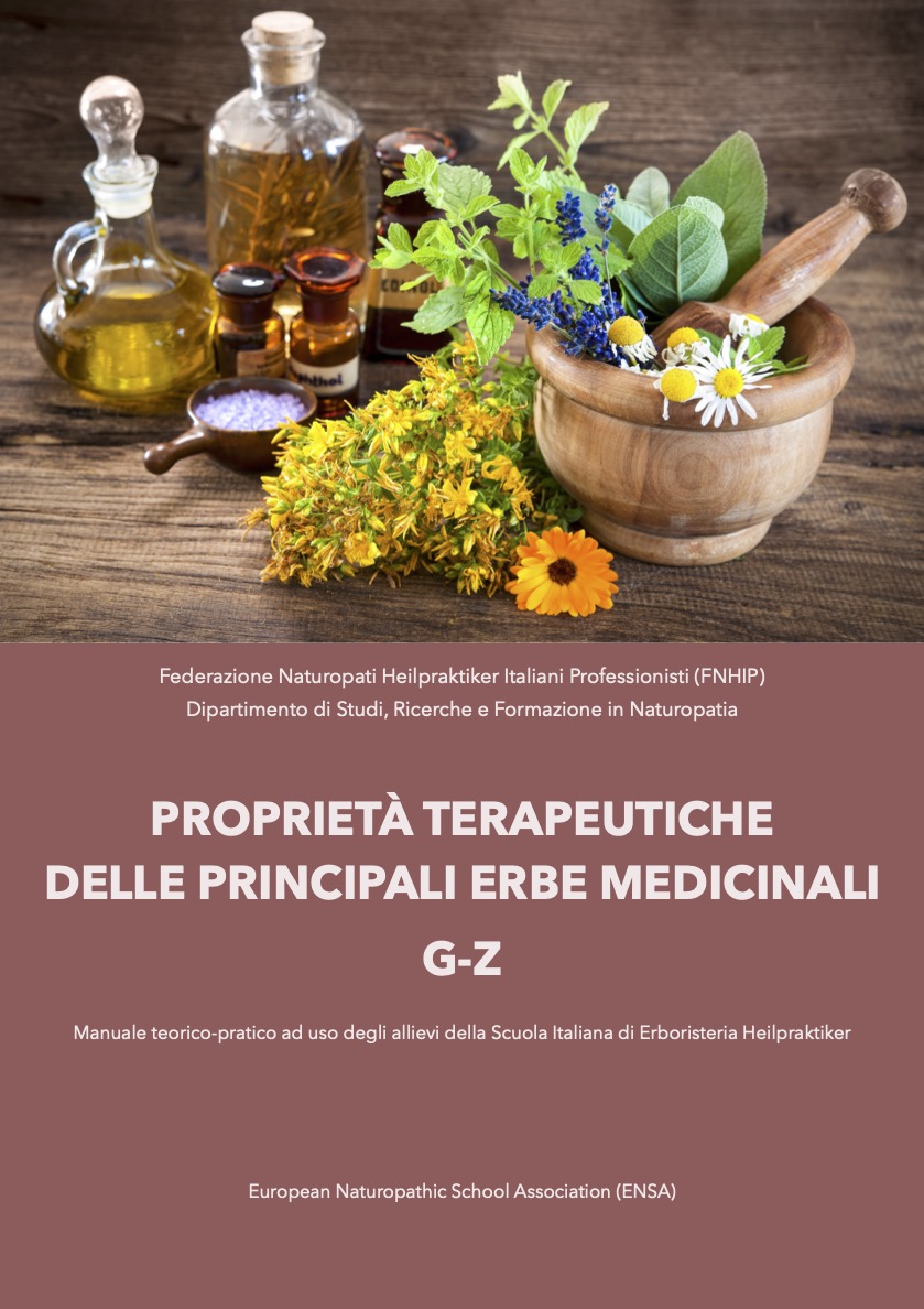 Proprietà terapeutiche delle principali erbe medicinali