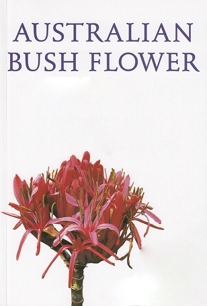 bush flowers