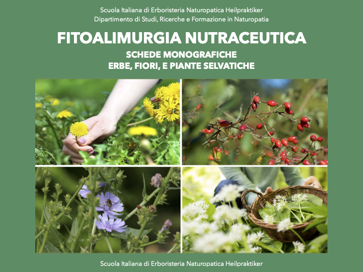 Fitoalimurgia schede