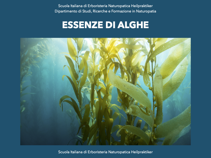 essenze di alghe