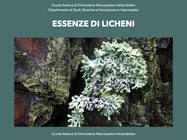 essenze di lichene