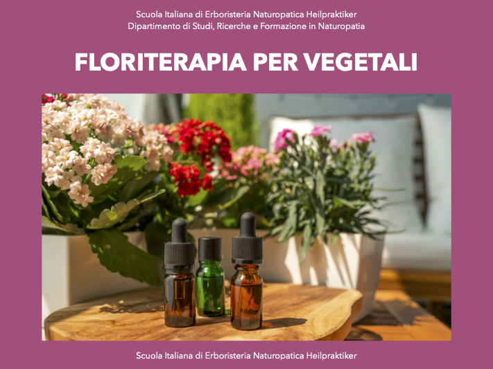 colloquio e comunicazione pratica