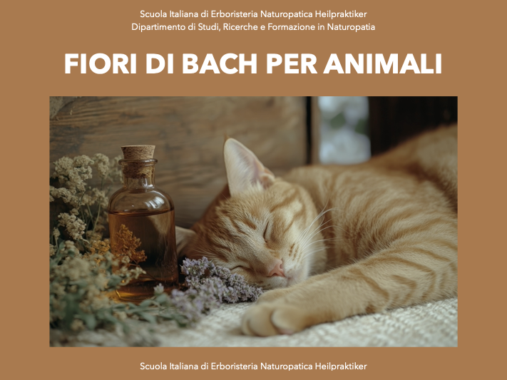 fiori di bach