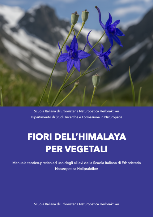 medicina complementare