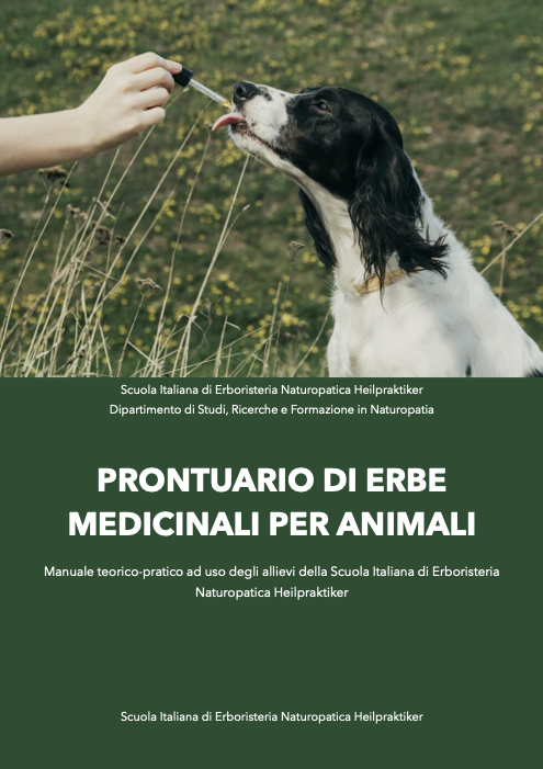 medicina complementare