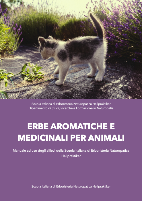 Proprietà terapeutiche delle principali erbe medicinali