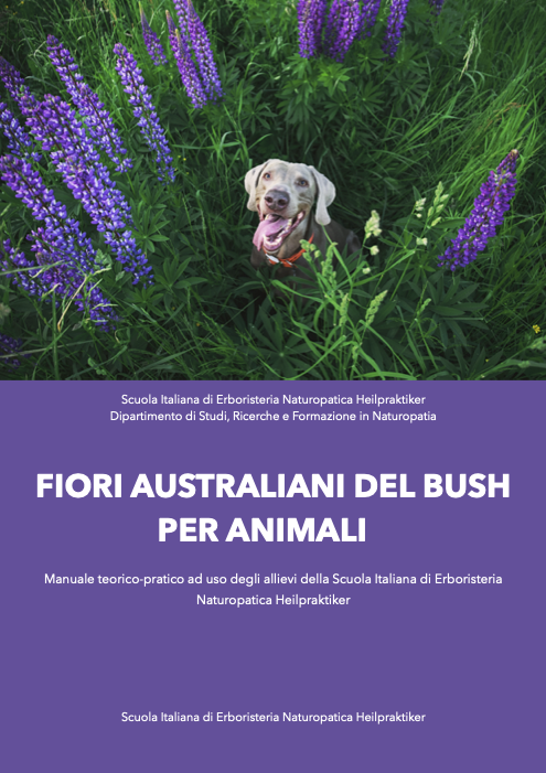 bush flowers