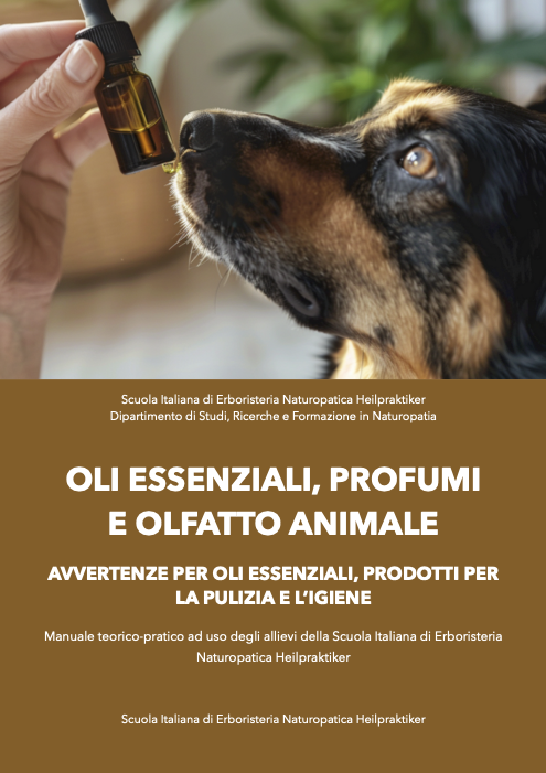 Le segnature