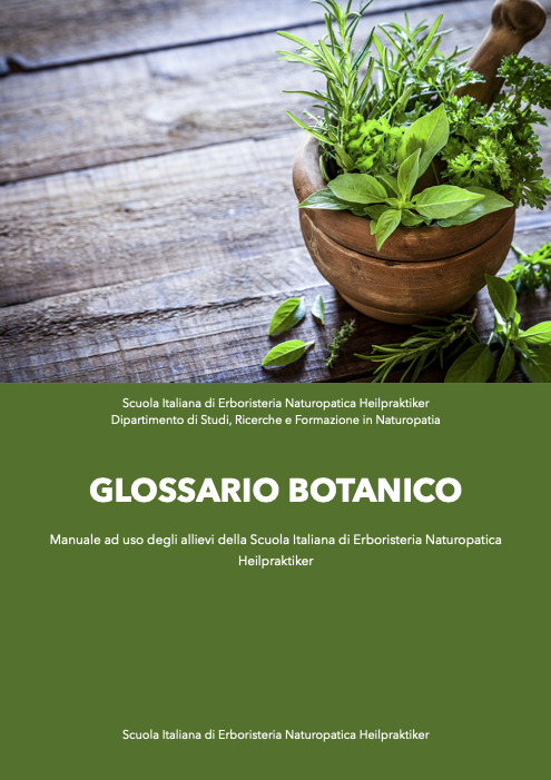 glossario botanico