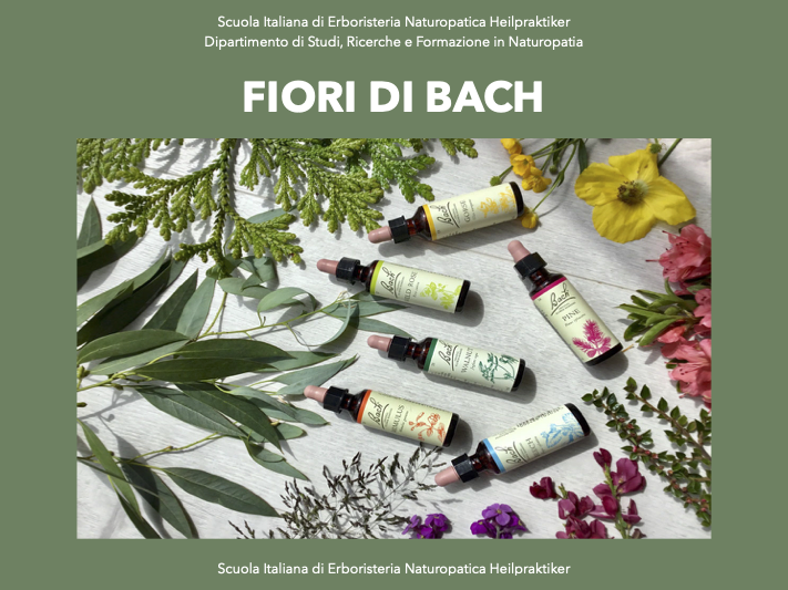 fiori di bach