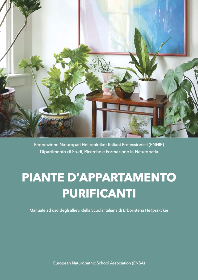 piante d'appartamento purificanti